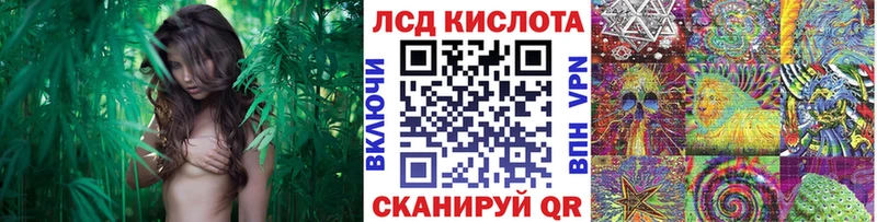 дарнет шоп  Ростов-на-Дону  Марки NBOMe 1500мкг 