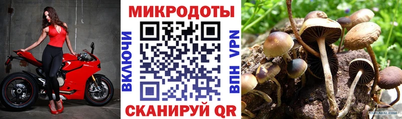 Галлюциногенные грибы мухоморы  где купить наркоту  Ростов-на-Дону 